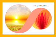 télécharger (12)